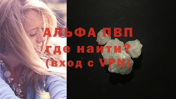 прущие грибы Горнозаводск
