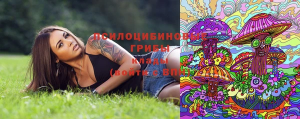 прущие грибы Горнозаводск