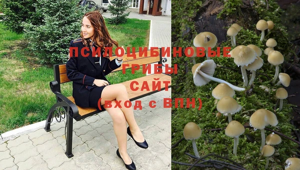прущие грибы Горнозаводск