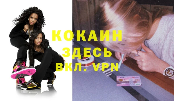 прущие грибы Горнозаводск
