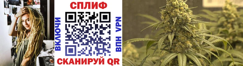 Купить закладки  Нариманов  Шишки марихуана THC 21% 